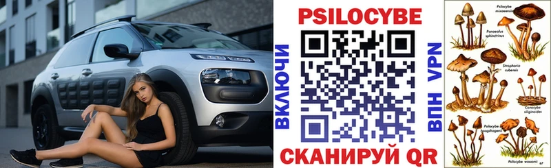 Галлюциногенные грибы Psilocybe  Североуральск 